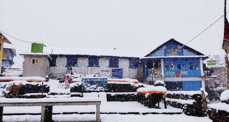 Excursionismo en campamento base del Annapurna 11 días - Himalayan Sanctuary Adventure 7