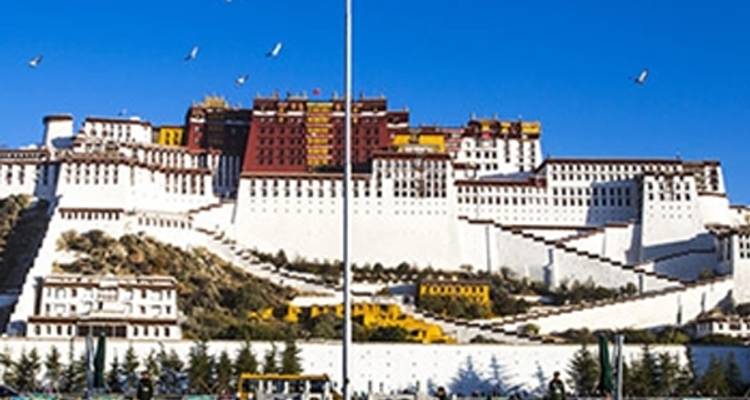 Tibet Lhasa Tour - 8 Days - White Hill Adventure Treks and Expedition Pvt Ltd 2