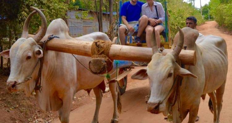 4-Day Essence of Sri Lanka Tour - Beyond Escapes 4