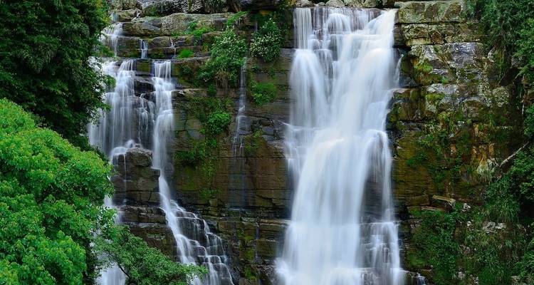 2-Day All-Inclusive Kandy And Nuwara Eliya Tour - Beyond Escapes 8