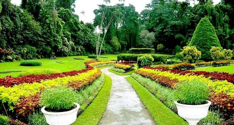 2-Day All-Inclusive Kandy And Nuwara Eliya Tour - Beyond Escapes 7