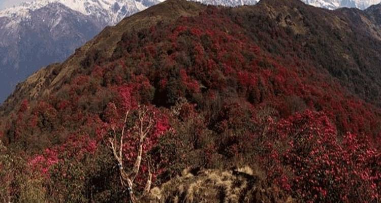 Senderismo Mardi Himal - Outshine Adventure  1