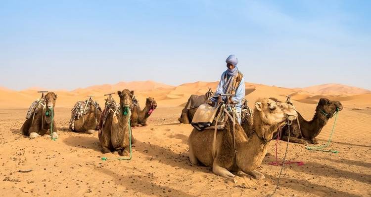 Viajes a Marruecos en 9 días desde Casablanca - Morocco Top Travel 9