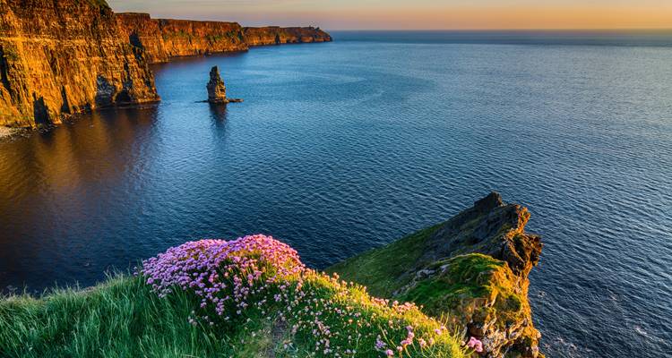 Best of Ireland - Wingbuddy 6