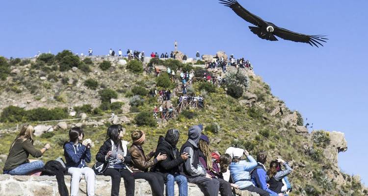 Gruppe von Menschen, die einen Andenkondor im Flug beobachtet.