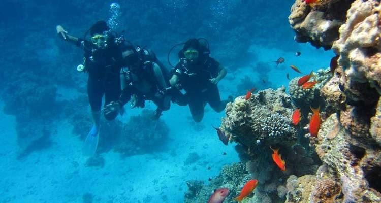 Cairo, Sharm- El Sheikh - Ancient Power Travel LLC 3
