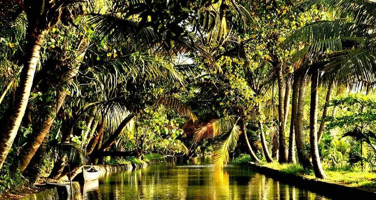 Kerala clásica - ¡De los jardines del té a los remansos y la playa! - MTA Destination Management Company 4