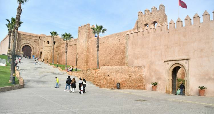 People walking near a large fortress wall with palm trees.