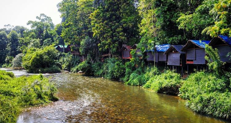 Rivier met weelderige groene oevers en houten constructies.