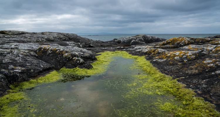 7-Day Ireland to Island Small Group Tour of Ireland - Overland Ireland - Small Group Tours 3