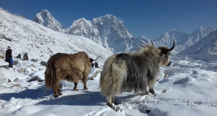 Everest 3 High Pass Trekking - Nepal Social Treks 3