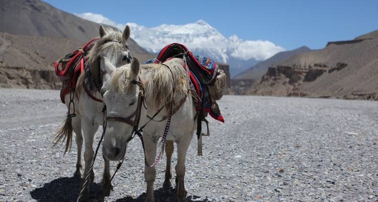 Upper Mustang Trek - Nepal Social Treks 6