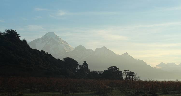 Mountain view with trees and a misty atmosphere.
