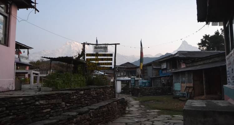 Mardi Himal Trek in Annapurna Region - 7 Days - Oriental Journeys Pvt. Ltd. 7