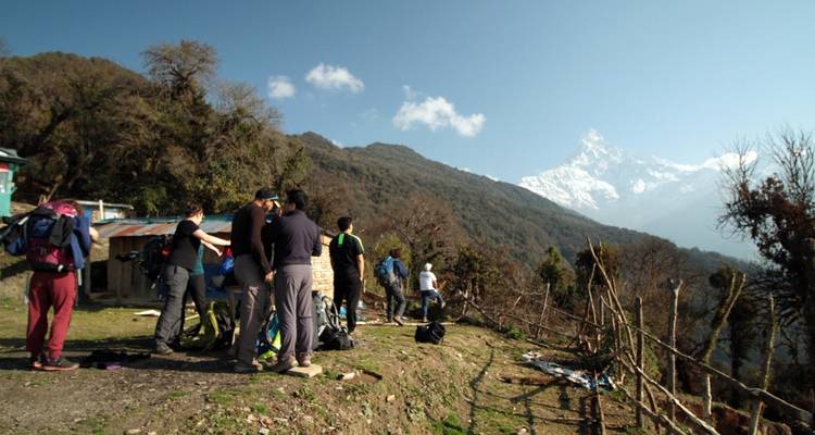 Mardi Himal Trek in Annapurna Region - 7 Days - Oriental Journeys Pvt. Ltd. 3