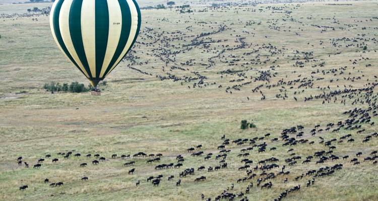 Grand safari de 7 jours en Tanzanie - SAFARI360 7