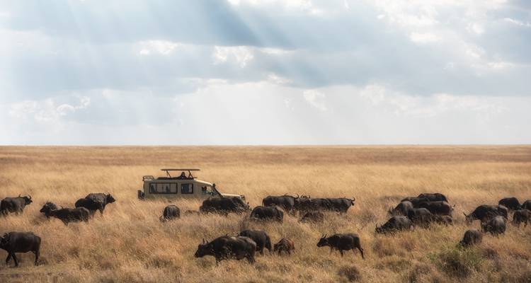 3 Day Top Notch Tanzania Safari - SAFARI360 4
