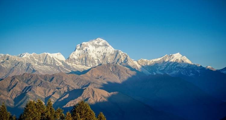 Ghorepani Poon Hill Trek - White Hill Adventure Treks and Expedition Pvt Ltd 1