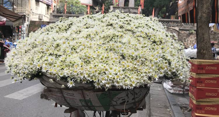 Hanoi 4 jours 3 nuits - Ha Noi, Ha Long, Ninh Binh - Asia Focus Travel 2