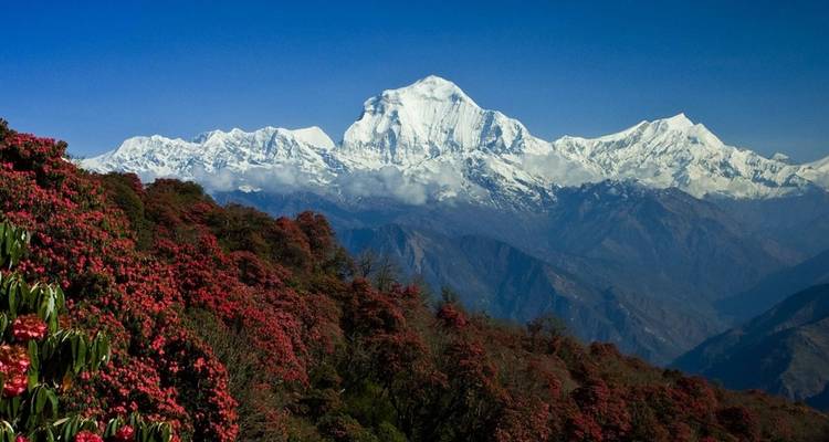 Excursionismo ABC - Himalayan Exploration 6