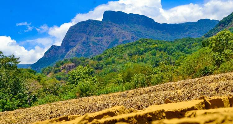 Overnight Trekking to Knuckles & Meemure with camping - Beyond Escapes 1