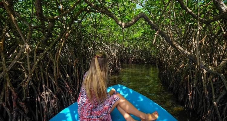 Woman sitting in a boat in a mangrove forest.