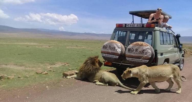 3 Days Tanzania lodge safari - Wild Root Safaris & Adventures 3