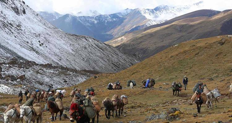 Excursión a los Mil Lagos de Dagala -7 Días - Himalayan Adventure Treks & Tours 6