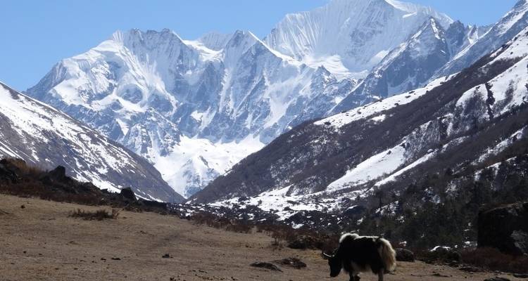 Excursionismo por el valle de Langtang - Accessible Adventure Pvt. Ltd 3
