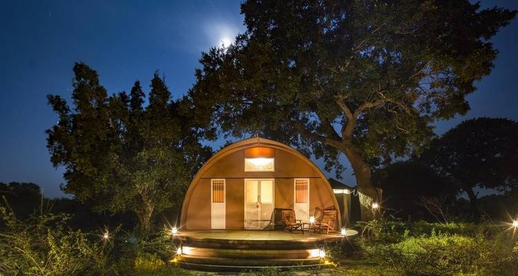 Noche en un Glamping de lujo en Yala con traslados de ida y vuelta - desde Galle - Beyond Escapes 8