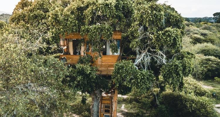Noche en un Glamping de lujo en Yala con traslados de ida y vuelta - desde Galle - Beyond Escapes 2