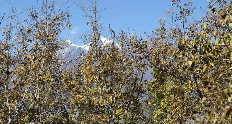 Excursión al Alto Mustang - White Hill Adventure Treks and Expedition Pvt Ltd 8