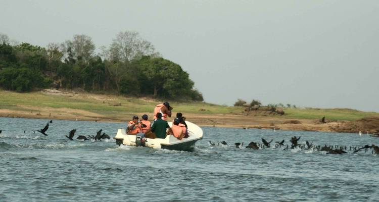 Excursion d'une nuit dans le parc national de Gal Oya avec transferts aller- retour - Beyond Escapes 1