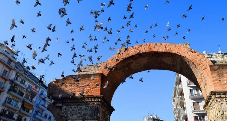 Arch with flying pigeons in an urban setting.