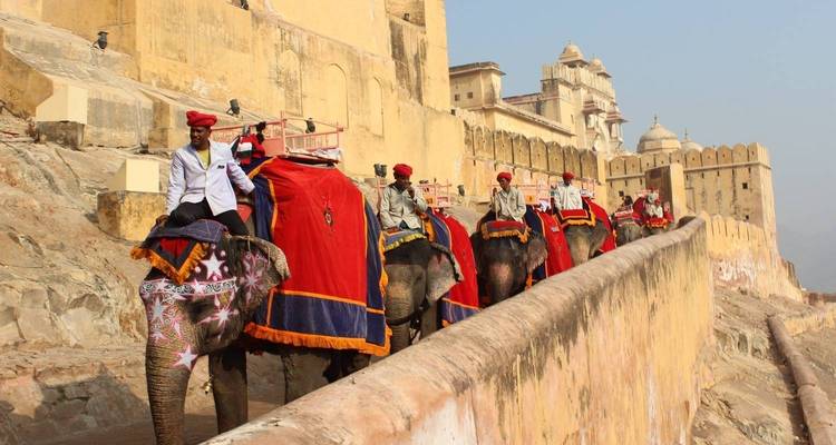 Elephant ride along a historic fort wall.