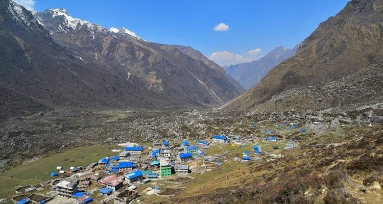 Excursionismo por el valle de Langtang - White Hill Adventure Treks and Expedition Pvt Ltd 8