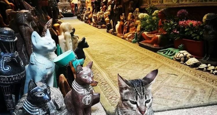 Forfait 6 jours et 5 nuits au Caire et aventure dans le désert - Sun Pyramid Tours 2