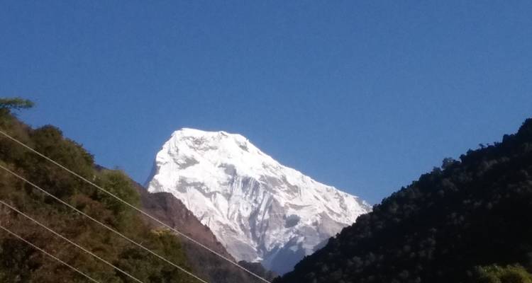 Excursión al campamento base del Annapurna - White Hill Adventure Treks and Expedition Pvt Ltd 9