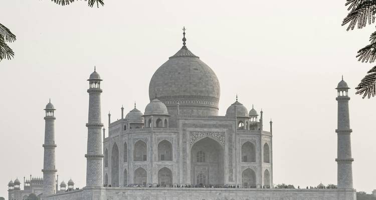 Classic frontal view of the Taj Mahal with four minarets against a pale sky, framed by tree branches.