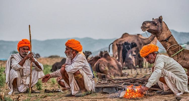 3 Nights 4 Days Golden Triangle Tour - TTI TOURS 7