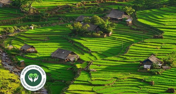 Delightful Vietnam In 13 Days - Realistic Asia 3