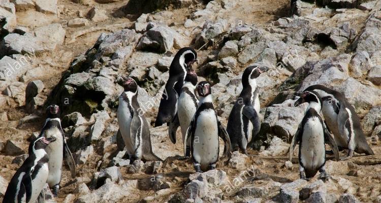 Peru Adventure 12 days - CondeTravel 6