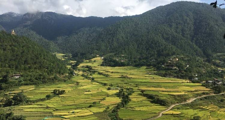 Viaje a Bután en profundidad por la cultura y la naturaleza - Bhutan Acorn Tours & Travel 4