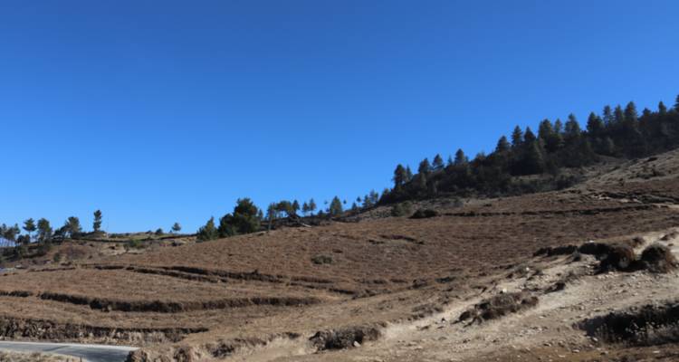 Trek du pic Pikey - White Hill Adventure Treks and Expedition Pvt Ltd 4
