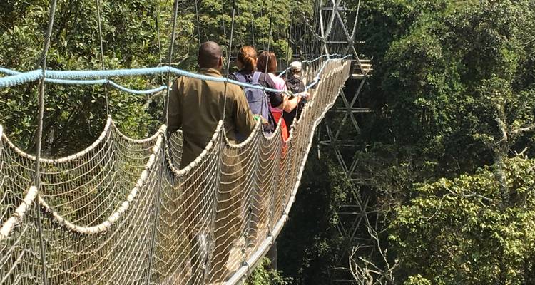Safari de 12 días por Ruanda y más allá (Parque Nacional del volcán, Parque Nacional de la selva de Nyungwe, Parque Nacional de Akagera) - Golden Rwanda Safaris Ltd 4