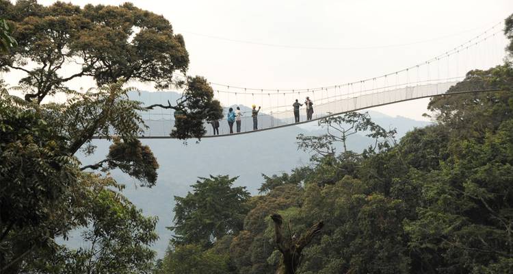 Safari de 12 días por Ruanda y más allá (Parque Nacional del volcán, Parque Nacional de la selva de Nyungwe, Parque Nacional de Akagera) - Golden Rwanda Safaris Ltd 6