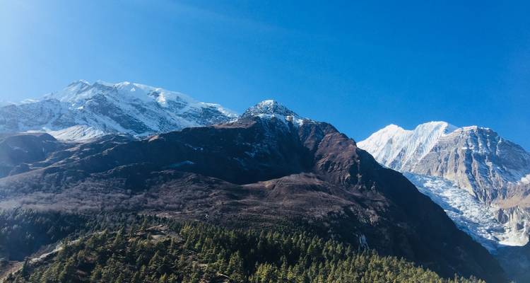 Gorepani Poon Hill excursión a caballo - White Hill Adventure Treks and Expedition Pvt Ltd 10