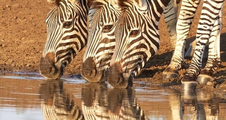 Explorador de 20 días por Sudáfrica, Lesoto y Eswatini - campamento - Acacia Adventure Holidays 3