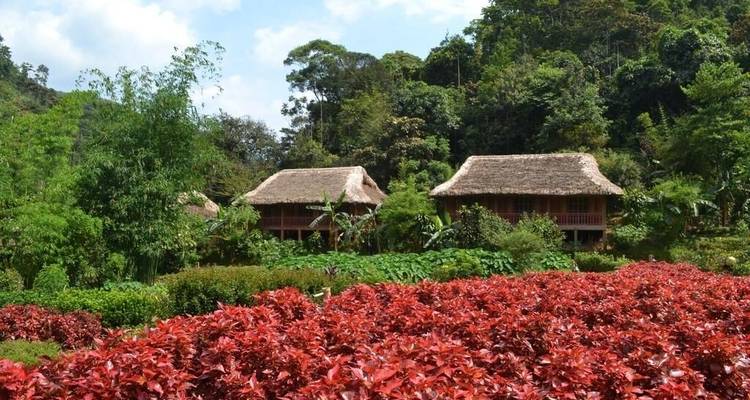 Traditional thatched huts surrounded by lush vegetation and red flowers.