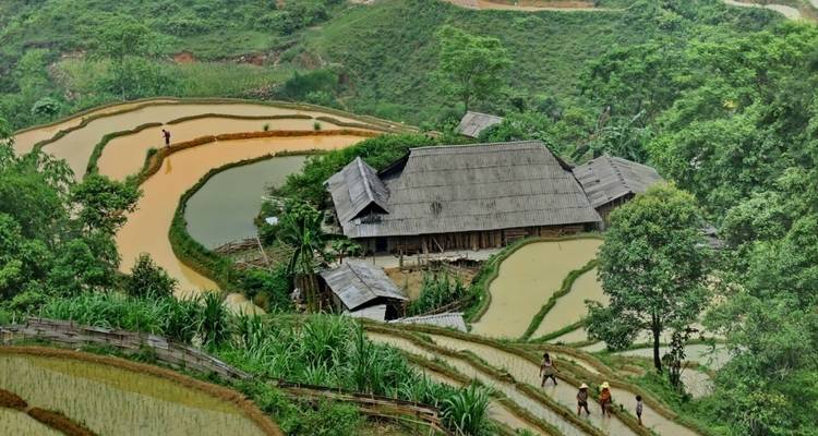 Terraced rice fields with a traditional house in the mountains.